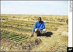 Challenges Facing Africa’s Farming Community