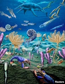 An artist's depiction of the diversified and complex Early Triassic marine ecosystem of southeastern Idaho, U.S., revealed soon after the Earth's worst mass exinction, contradicting long-held notion life was slow to recover from calamity. (Illustration courtesy of Jorge Gonzalez)