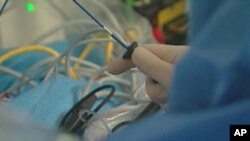 Dr. David Wilber performs a procedure called catheter ablation to treat patients with atrial fibrillation at Loyola University Medical Center in Illinois