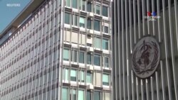 Թրամփը դադարեցրեց ԱՀԿ ֆինանսավորումը