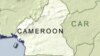 Nearly 20 People Killed in Cameroon Separatist Attack