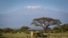 Large mobilisation pour éteindre un incendie sur le mont Kilimandjaro, en Tanzanie