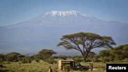 La plus haute montagne d'Afrique, le Mont Kilimandjaro en Tanzanie, se profile en arrière-plan au Kimana Wildlife Sanctuary dans le sud du Kenya, près de la frontière avec la Tanzanie, mardi 19 février 2013. (AP Photo/Ben Curtis)