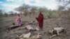 FAO: $3.8 Trillion Lost to Disasters Over Three Decades 