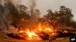 A firefighter runs past flames while battling the Glass Fire in a Calistoga, Calif., vineyard, Oct. 1, 2020.