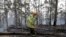 Forestry Corporation worker Dale McLean patrols a controlled fire at a wildfire near Bodalla, Australia, Jan. 12, 2020.