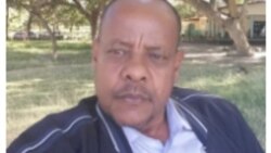 ዓብይ ግድብ ህዳሴ ኢትዮጵያን ደውታ ተላዘብቲ ወገናትን (2ይ ክፋል)