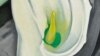 Georgia O'Keeffe Flower Painting Going to NYC Auction