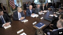 Vice President Joe Biden, center, with Attorney General Eric Holder at left, speaks during a meeting with victims' groups and gun safety organizations in the Eisenhower Executive Office Building on the White House complex in Washington, Wednesday, Jan. 9,