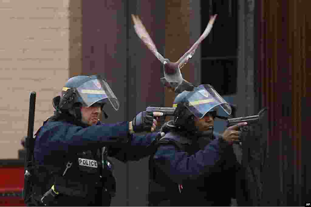 Police forces operate in Saint-Denis, a northern suburb of Paris. Police say two suspects in last week's Paris attacks, a man and a woman, have been killed in a police operation north of the capital. Five police officers were injured and a police dog named "Diesel" was killed in the standoff. Police have said the operation is targeting the suspected mastermind of last week's attacks, believed to be holed up in an apartment in Saint-Denis with several other heavily armed suspects.