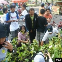 Masyarakat Surabaya antusias menerima pembagian bibit pohon untuk ditanam dalam peringatan Hari Pohon Sedunia (21/11).