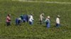 África do Sul e Moçambique cooperam na inspecção laboral