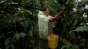Landmark Project to Help Peru Coffee Farmers Combat Climate Change