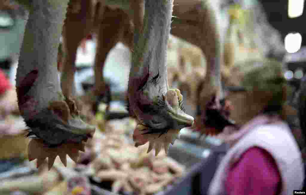 Chickens are hung on for sale at a stall in the Central Market in downtown Lima, May 26, 2015.