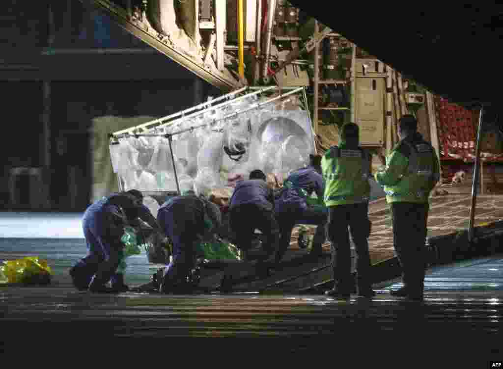 A healthcare worker who was diagnosed with Ebola after returning from Sierra Leone is wheeled in a quarantine tent trolley onto a Hercules Transport plane at Glasgow International Airport, bound for The Royal Free hospital in London.