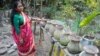 A woman in Chandipur village in southwest Bangladesh shows seedlings she grows in pots.(Photo: A. Yee for VOA)