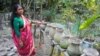 Vườn thẳng đứng: Cách khắc phục đất nhiễm mặn ở Bangladesh