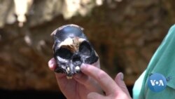 Fossil Discovery Offers More Evidence of Ritualistic Behavior by Extinct Hominins
