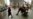 Wall Street Bisa Dorong Pertumbuhan Main Street