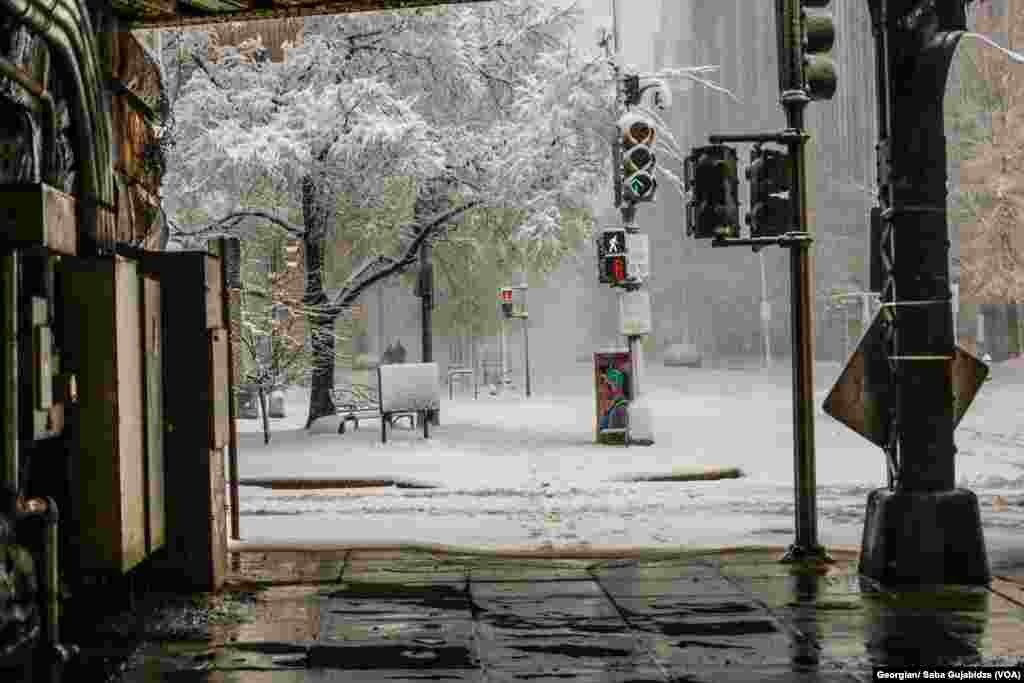 Snow in Washington D.C. - Jan 3.2022