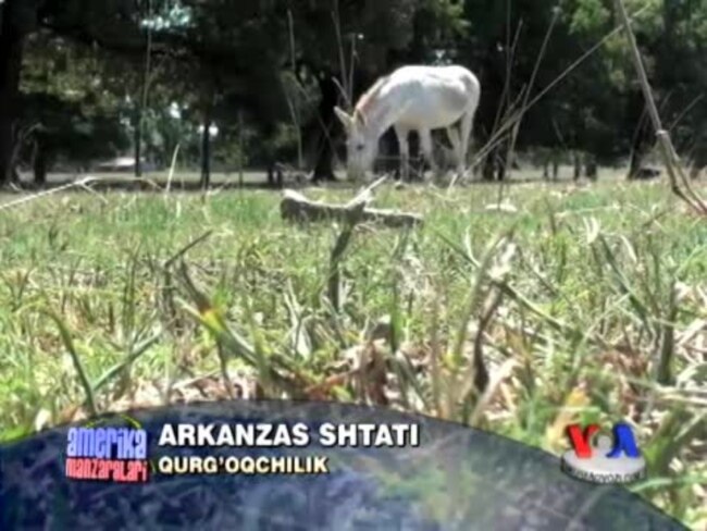 Amerikada qurg'oqchilik, Arkanzas shtati/Arkansas Drought