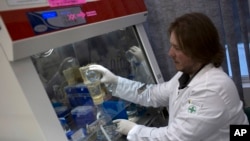 Un candidat au doctorat travaille sur l'analyse des échantillons d'eau prélevés dans les eaux à Rio de Janeiro, à l'Université Feevale à Novo Hamburgo, Brésil, 9 juillet 2015. (AP Photo / Leo Correa)