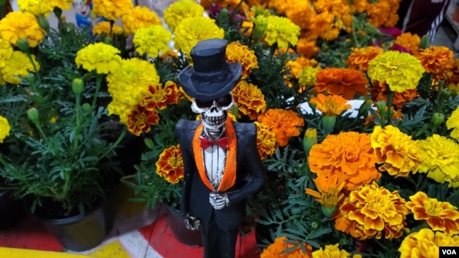 Un catrín con flores de muerto en un puesto de mercado en Ciudad de México el 31 de octubre de 2023, previo a la celebración del Día de los Muertos, una fiesta cultural que se posiciona también como oportunidad de negocios. [Foto: Tomás Guevara, VOA].