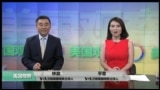美国观察 2017年7月11日