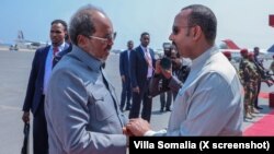 የሶማሊያው ፕሬዘዳንት ሐሰን ሼኽ መሐሙድ ለጠቅላይ ምኒስትር ዐቢይ አህመድ ያደርጉት አቀባበል 