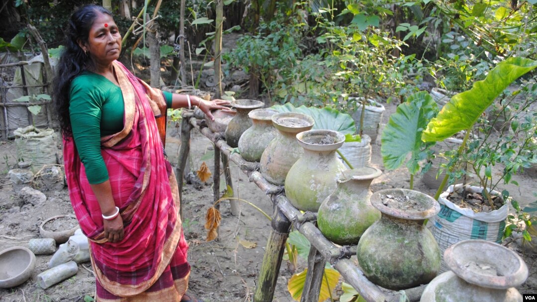 A woman in Chandipur village in southwest Bangladesh shows seedlings she grows in pots.(Photo: A. Yee for VOA)