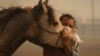 Fabio Losurdo comforts his horse, Smarty, at a ranch in Simi Valley, Calif., Wednesday, Oct. 30, 2019. A brush fire broke out just before dawn in the Simi Valley area north of Los Angeles. 