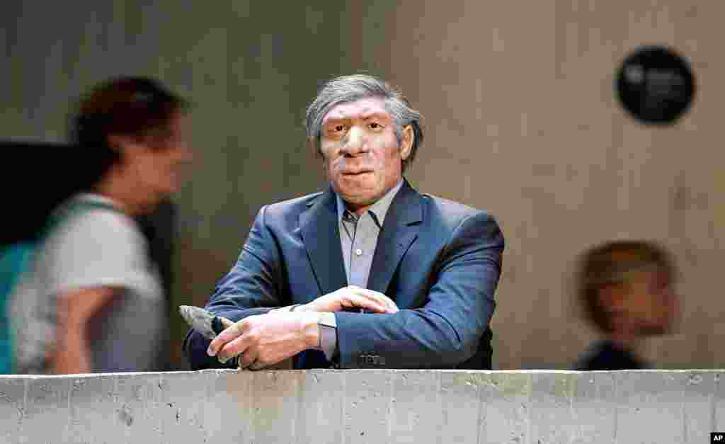 The reconstruction of a Homo neanderthalensis, who lived within Eurasia from circa 400,000 until 40,000 years ago, is seen in a modern business suit at the Neanderthal Museum in Mettmann, Germany.
