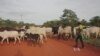 Farmer-Herder Conflict Rises Across Nigeria