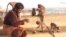 Fruit Vendors Feed 1,000 Hungry Monkeys Amid Lockdown in India 