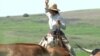 Be a Cowboy on an American Longhorn Ranch