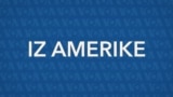 Iz Amerike 236 | Tramp ponovo u Beloj kući; Grenland; Konzumiranje alkohola i rizik od raka