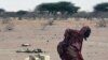 Less Severe Drought Forecast For Horn of Africa