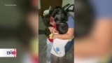  Liberan a reportera, pero otros 11 comunicadores siguen presos en Venezuela 