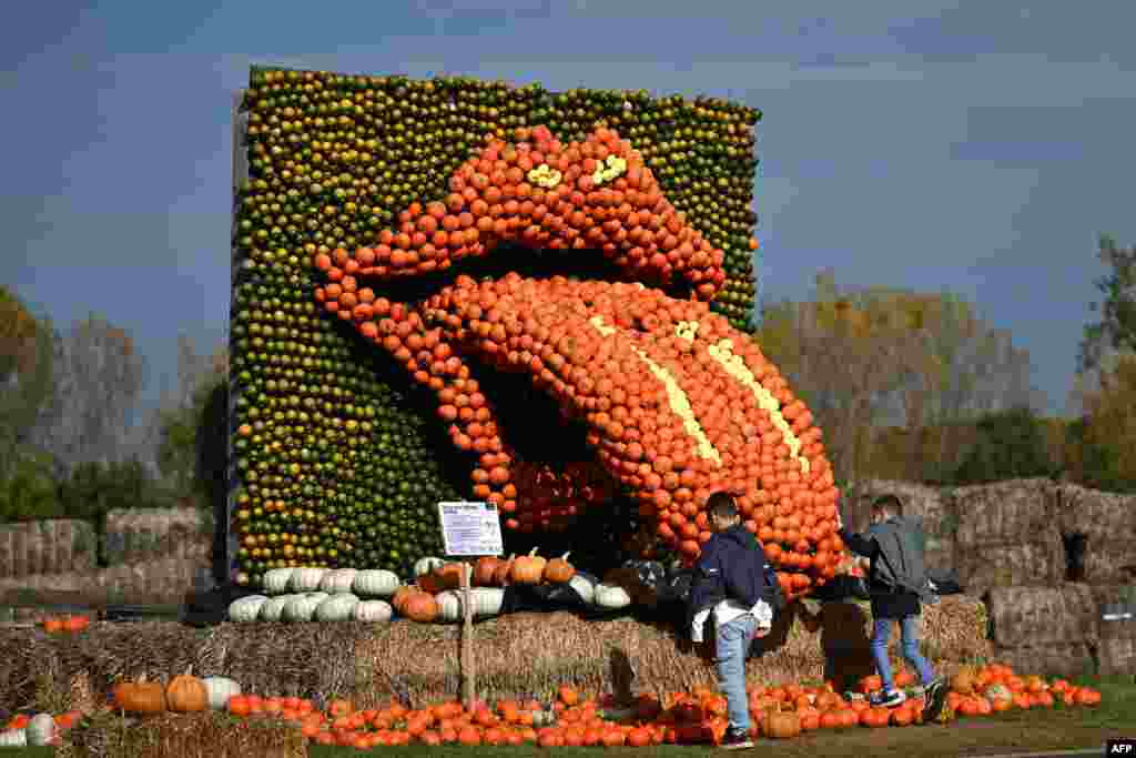 Visitors look at an exhibit depicting the logo of the Rolling Stones at a pumpkin exhibition themed at the Krewelshof near Mechernich, western Germany.