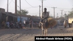 Un âne au Niger, le 8 mars 2019. (VOA/Abdoul-Razak Idrissa)