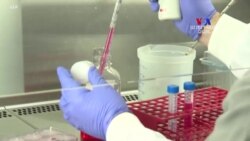 Բուժվել է կորոնավիրուսով վարակված 48 469 հիվանդ