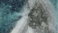 بي بي شیرینه – وي او اې ډيوه په ټیلې ویژن