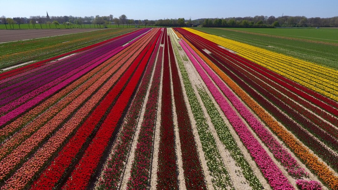 Transforming your athletic field into a field of dreams.