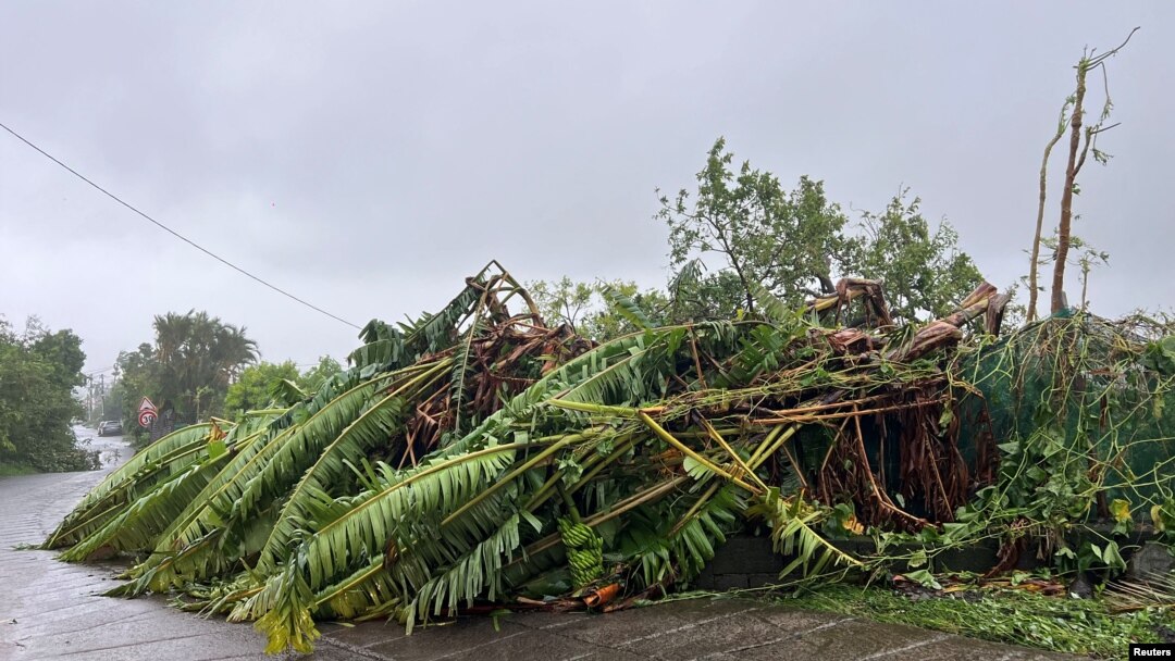 Trees felled by Tropical Cyclone Garance are seen in Saint-Denis, on France's Indian Ocean island of Reunion, Feb. 28, 2025.