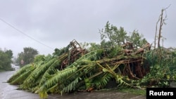 Trees felled by Tropical Cyclone Garance are seen in Saint-Denis, on France's Indian Ocean island of Reunion, Feb. 28, 2025.