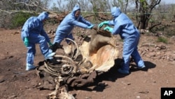 Des enquêteurs examinant les restes d'un rhinocéros abattu par des braconniers à la frontière entre le Mozambique et l'Afrique du Sud (Archives)
