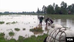 የክረምቱ ዝናብ በኢትዮጵያ አይሏል