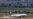 Qatar Airways Seeks $5 Billion Compensation From Arab Bloc Over Airspace Ban