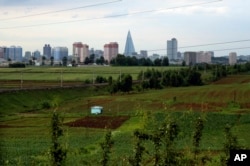 FILE - This June 15, 2018, file photo shows the Pyongyang skyline where the 105-story pyramid-shaped Ryugyong Hotel towers over residential apartments in the background of some agricultural land on the outskirts of Pyongyang, North Korea.