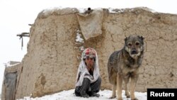 An internally displaced boy sits outside his shelter during snowfall in Kabul, Afghanistan.